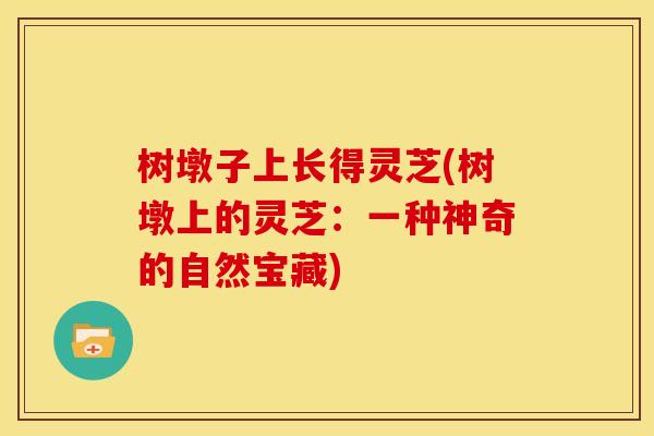 树墩子上长得灵芝(树墩上的灵芝:一种神奇的自然宝藏) 树墩子上长得灵芝(树墩上的灵芝:一种神奇的自然宝藏)