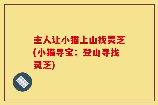 主人让小猫上山找灵芝(小猫寻宝:登山寻找灵芝) 主人让小猫上山找灵芝(小猫寻宝:登山寻找灵芝)