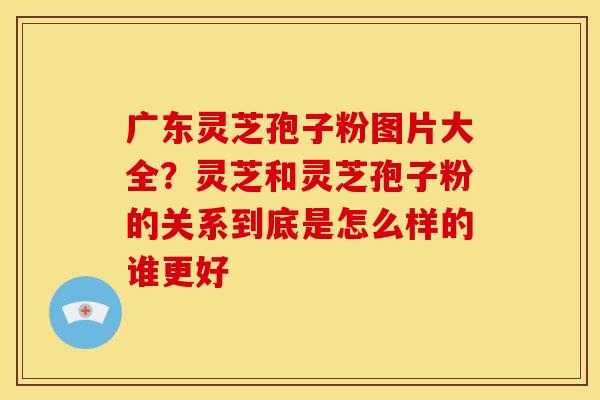 广东灵芝孢子粉图片大全?灵芝和灵芝孢子粉的关系到底是怎么样的谁更好 广东灵芝孢子粉图片大全?灵芝和灵芝孢子粉的关系到底是怎么样的谁更好