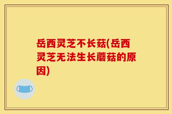 岳西灵芝不长菇(岳西灵芝无法生长蘑菇的原因) 岳西灵芝不长菇(岳西灵芝无法生长蘑菇的原因)
