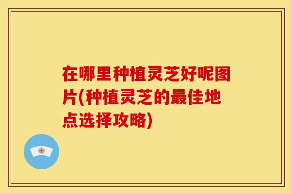 在哪里种植灵芝好呢图片(种植灵芝的佳地点选择攻略) 在哪里种植灵芝好呢图片(种植灵芝的佳地点选择攻略)