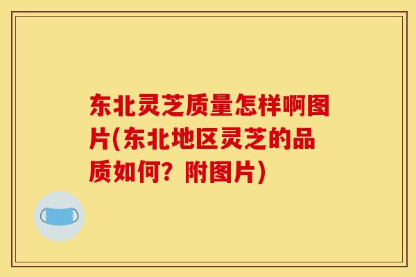 东北灵芝质量怎样啊图片(东北地区灵芝的品质如何?附图片) 东北灵芝质量怎样啊图片(东北地区灵芝的品质如何?附图片)