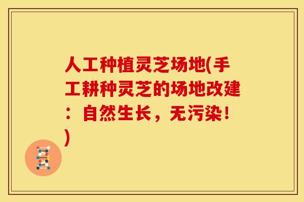 人工种植灵芝场地(手工耕种灵芝的场地改建:自然生长,无污染!) 人工种植灵芝场地(手工耕种灵芝的场地改建:自然生长,无污染!)