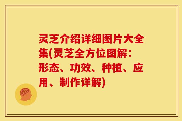灵芝介绍详细图片大全集(灵芝全方位图解:形态、功效、种植、应用、制作详解) 灵芝介绍详细图片大全集(灵芝全方位图解:形态、功效、种植、应用、制作详解)