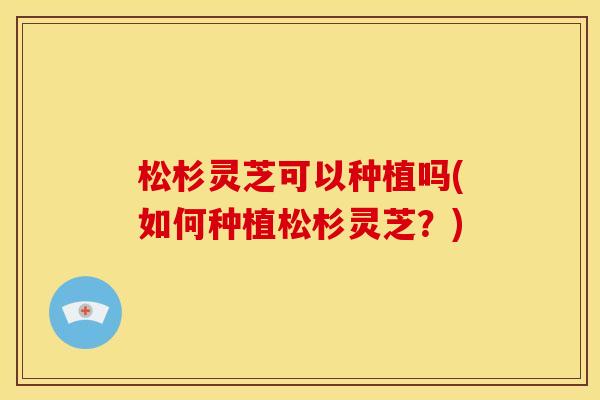 松杉灵芝可以种植吗(如何种植松杉灵芝?) 松杉灵芝可以种植吗(如何种植松杉灵芝?)