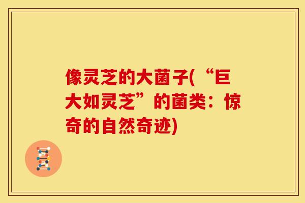 像灵芝的大菌子(“巨大如灵芝”的菌类:惊奇的自然奇迹) 像灵芝的大菌子(“巨大如灵芝”的菌类:惊奇的自然奇迹)