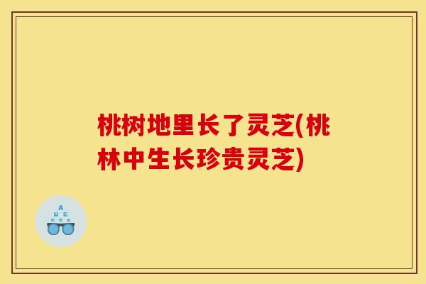 桃树地里长了灵芝(桃林中生长珍贵灵芝) 桃树地里长了灵芝(桃林中生长珍贵灵芝)
