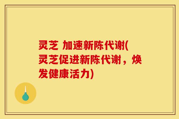 灵芝 加速(灵芝促进,焕发健康活力) 灵芝 加速(灵芝促进,焕发健康活力)