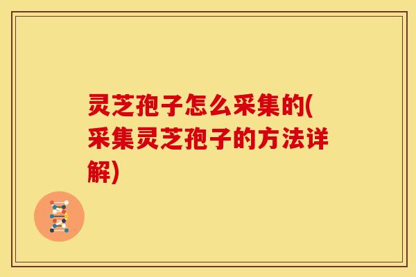 灵芝孢子怎么采集的(采集灵芝孢子的方法详解) 灵芝孢子怎么采集的(采集灵芝孢子的方法详解)