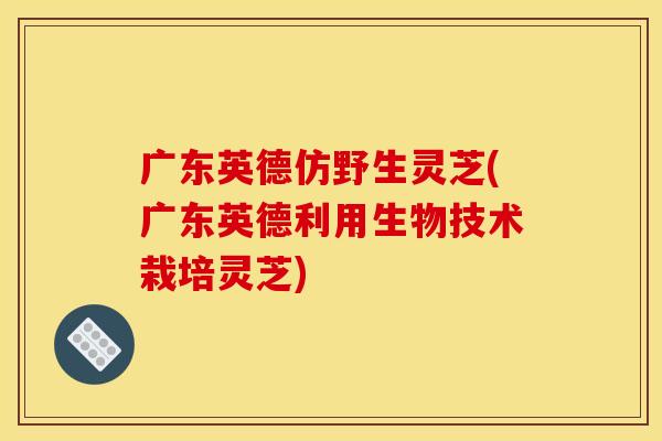 广东英德仿野生灵芝(广东英德利用生物技术栽培灵芝) 广东英德仿野生灵芝(广东英德利用生物技术栽培灵芝)