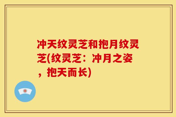 冲天纹灵芝和抱月纹灵芝(纹灵芝:冲月之姿,抱天而长) 冲天纹灵芝和抱月纹灵芝(纹灵芝:冲月之姿,抱天而长)