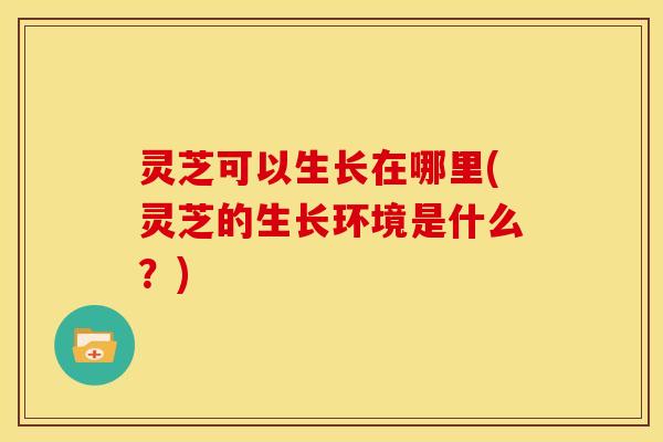 灵芝可以生长在哪里(灵芝的生长环境是什么?) 灵芝可以生长在哪里(灵芝的生长环境是什么?)