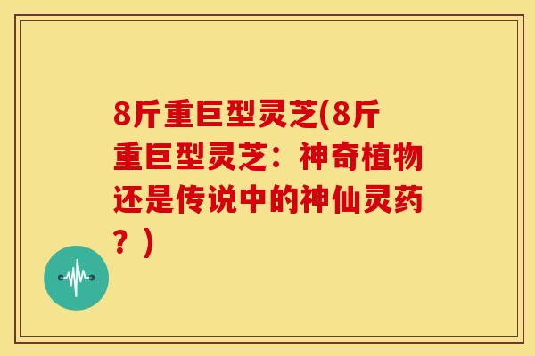 8斤重巨型灵芝(8斤重巨型灵芝：神奇植物还是传说中的神仙灵药？)