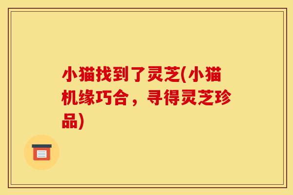 小猫找到了灵芝(小猫机缘巧合,寻得灵芝珍品) 小猫找到了灵芝(小猫机缘巧合,寻得灵芝珍品)