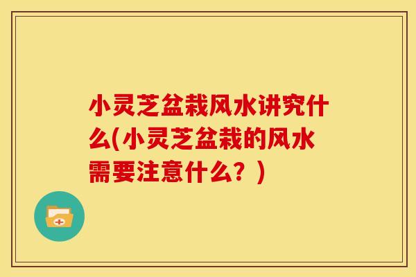 小灵芝盆栽风水讲究什么(小灵芝盆栽的风水需要注意什么?) 小灵芝盆栽风水讲究什么(小灵芝盆栽的风水需要注意什么?)