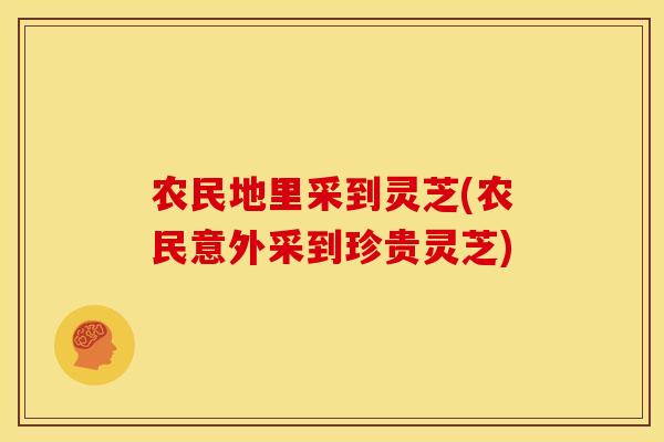 农民地里采到灵芝(农民意外采到珍贵灵芝) 农民地里采到灵芝(农民意外采到珍贵灵芝)