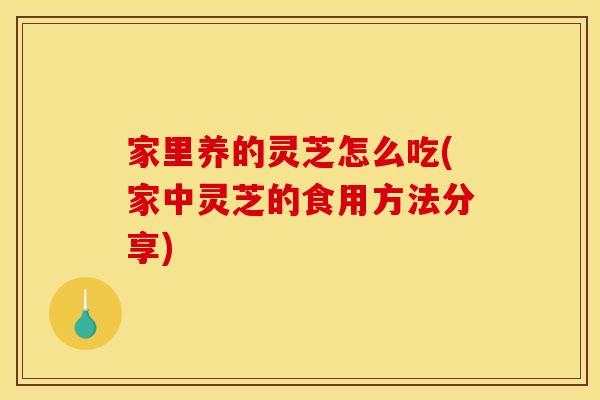 家里养的灵芝怎么吃(家中灵芝的食用方法分享) 家里养的灵芝怎么吃(家中灵芝的食用方法分享)