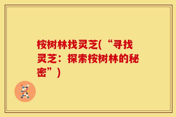 桉树林找灵芝(“寻找灵芝:探索桉树林的秘密”) 桉树林找灵芝(“寻找灵芝:探索桉树林的秘密”)