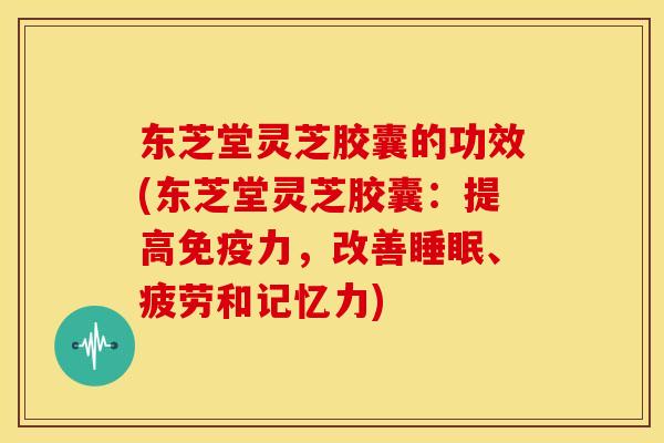 东芝堂灵芝胶囊的功效(东芝堂灵芝胶囊：提高免疫力，改善、疲劳和记忆力)