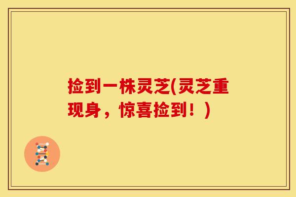 捡到一株灵芝(灵芝重现身，惊喜捡到！)