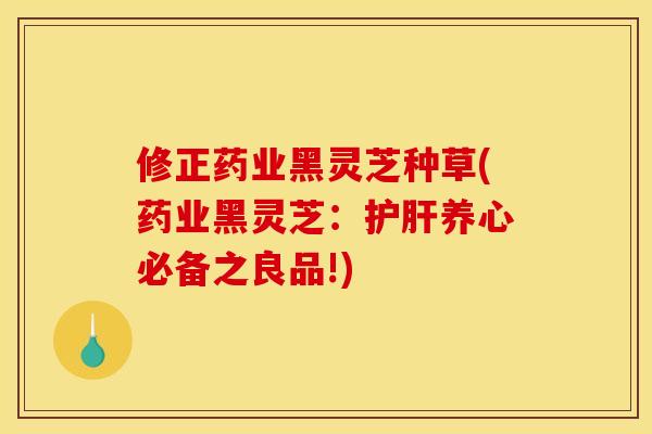 修正药业黑灵芝种草(药业黑灵芝:养心必备之良品!) 修正药业黑灵芝种草(药业黑灵芝:养心必备之良品!)