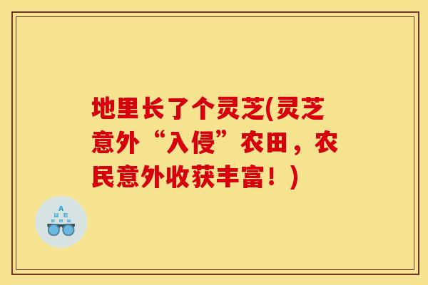 地里长了个灵芝(灵芝意外“入侵”农田,农民意外收获丰富!) 地里长了个灵芝(灵芝意外“入侵”农田,农民意外收获丰富!)