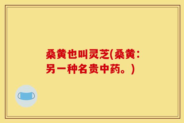 桑黄也叫灵芝(桑黄:另一种名贵。) 桑黄也叫灵芝(桑黄:另一种名贵。)