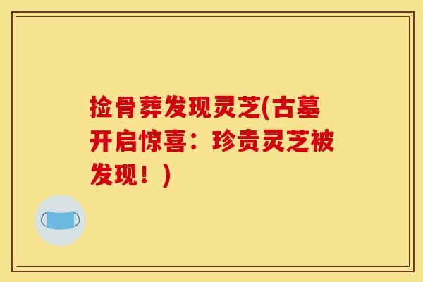捡骨葬发现灵芝(古墓开启惊喜:珍贵灵芝被发现!) 捡骨葬发现灵芝(古墓开启惊喜:珍贵灵芝被发现!)