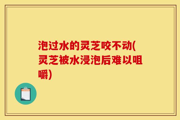 泡过水的灵芝咬不动(灵芝被水浸泡后难以咀嚼) 泡过水的灵芝咬不动(灵芝被水浸泡后难以咀嚼)