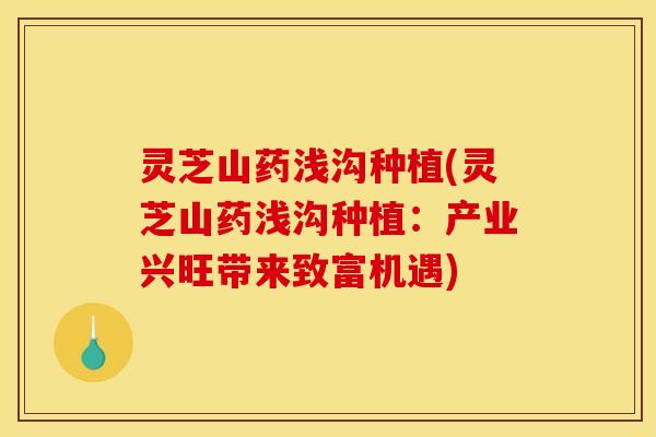 灵芝山药浅沟种植(灵芝山药浅沟种植:产业兴旺带来致富机遇) 灵芝山药浅沟种植(灵芝山药浅沟种植:产业兴旺带来致富机遇)