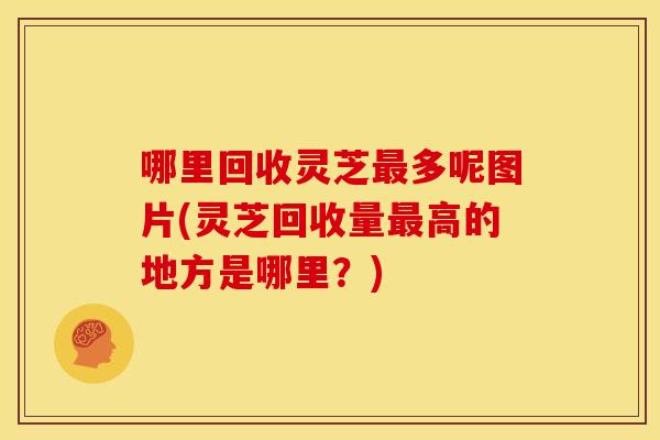 哪里回收灵芝多呢图片(灵芝回收量高的地方是哪里?) 哪里回收灵芝多呢图片(灵芝回收量高的地方是哪里?)