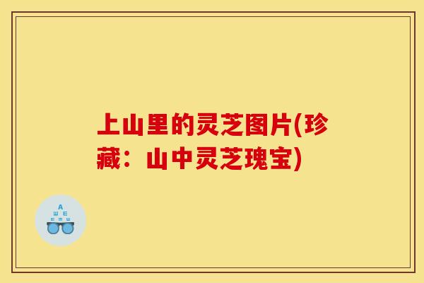上山里的灵芝图片(珍藏：山中灵芝瑰宝)