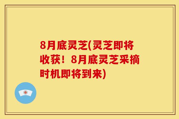 8月底灵芝(灵芝即将收获!8月底灵芝采摘时机即将到来) 8月底灵芝(灵芝即将收获!8月底灵芝采摘时机即将到来)