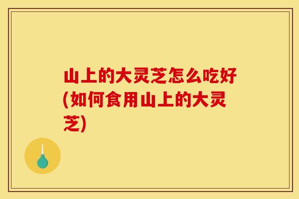 山上的大灵芝怎么吃好(如何食用山上的大灵芝) 山上的大灵芝怎么吃好(如何食用山上的大灵芝)