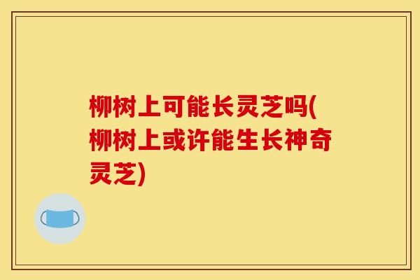 柳树上可能长灵芝吗(柳树上或许能生长神奇灵芝) 柳树上可能长灵芝吗(柳树上或许能生长神奇灵芝)