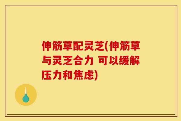 伸筋草配灵芝(伸筋草与灵芝合力 可以缓解压力和)