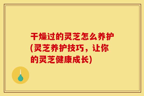 干燥过的灵芝怎么养护(灵芝养护技巧,让你的灵芝健康成长) 干燥过的灵芝怎么养护(灵芝养护技巧,让你的灵芝健康成长)
