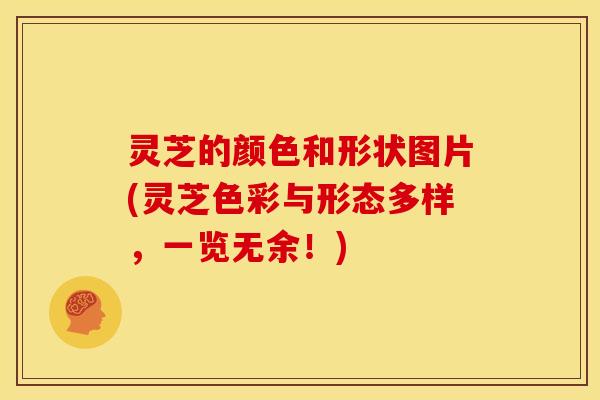 灵芝的颜色和形状图片(灵芝色彩与形态多样,一览无余!) 灵芝的颜色和形状图片(灵芝色彩与形态多样,一览无余!)