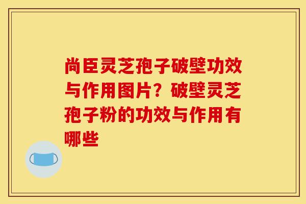 尚臣灵芝孢子破壁功效与作用图片?破壁灵芝孢子粉的功效与作用有哪些 尚臣灵芝孢子破壁功效与作用图片?破壁灵芝孢子粉的功效与作用有哪些