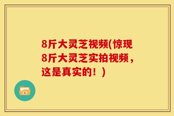 8斤大灵芝视频(惊现8斤大灵芝实拍视频,这是真实的!) 8斤大灵芝视频(惊现8斤大灵芝实拍视频,这是真实的!)