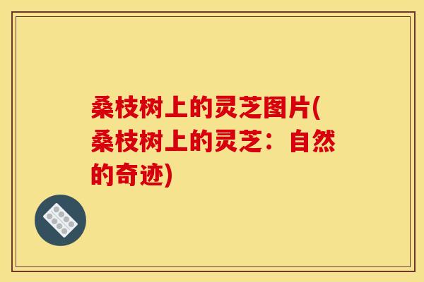 桑枝树上的灵芝图片(桑枝树上的灵芝:自然的奇迹) 桑枝树上的灵芝图片(桑枝树上的灵芝:自然的奇迹)