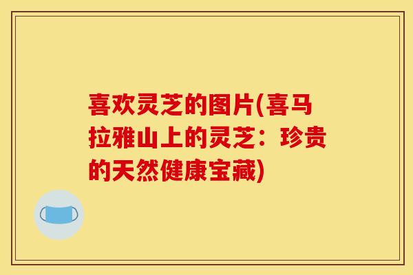 喜欢灵芝的图片(喜马拉雅山上的灵芝:珍贵的天然健康宝藏) 喜欢灵芝的图片(喜马拉雅山上的灵芝:珍贵的天然健康宝藏)