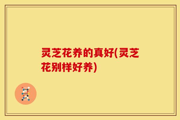 灵芝花养的真好(灵芝花别样好养) 灵芝花养的真好(灵芝花别样好养)
