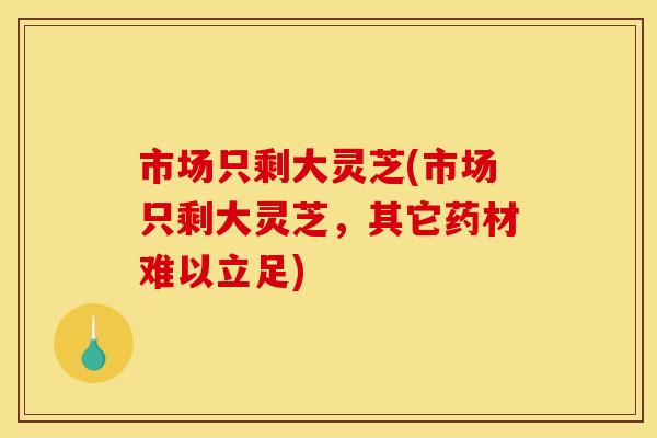 市场只剩大灵芝(市场只剩大灵芝,其它药材难以立足) 市场只剩大灵芝(市场只剩大灵芝,其它药材难以立足)