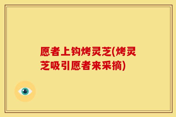 愿者上钩烤灵芝(烤灵芝吸引愿者来采摘) 愿者上钩烤灵芝(烤灵芝吸引愿者来采摘)