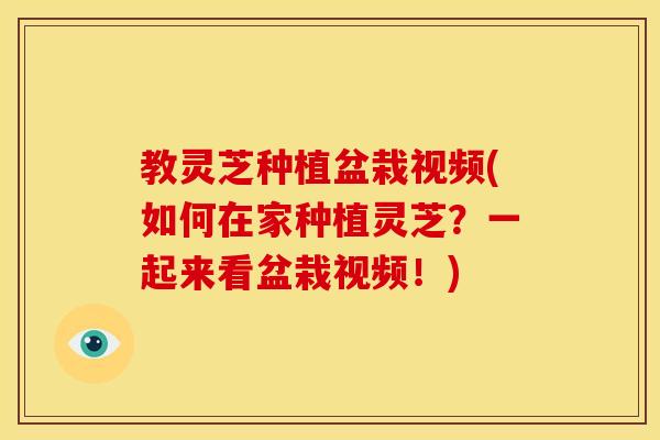教灵芝种植盆栽视频(如何在家种植灵芝?一起来看盆栽视频!) 教灵芝种植盆栽视频(如何在家种植灵芝?一起来看盆栽视频!)