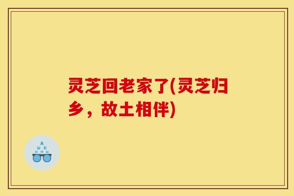 灵芝回老家了(灵芝归乡,故土相伴) 灵芝回老家了(灵芝归乡,故土相伴)