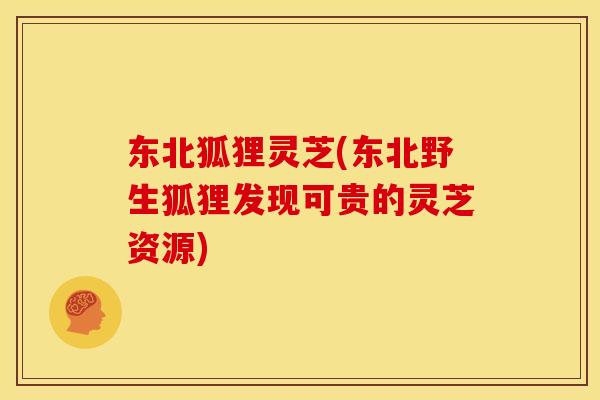东北狐狸灵芝(东北野生狐狸发现可贵的灵芝资源) 东北狐狸灵芝(东北野生狐狸发现可贵的灵芝资源)