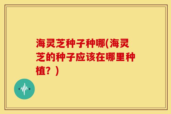 海灵芝种子种哪(海灵芝的种子应该在哪里种植?) 海灵芝种子种哪(海灵芝的种子应该在哪里种植?)