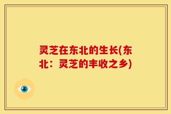 灵芝在东北的生长(东北:灵芝的丰收之乡) 灵芝在东北的生长(东北:灵芝的丰收之乡)